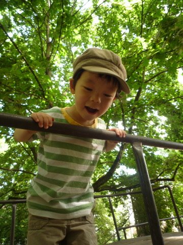 [P1070420.JPG]