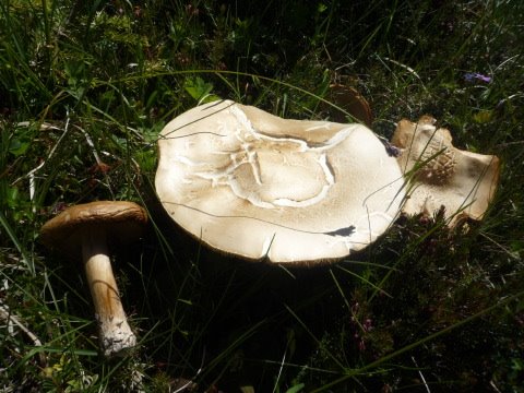 [P1070693.JPG]