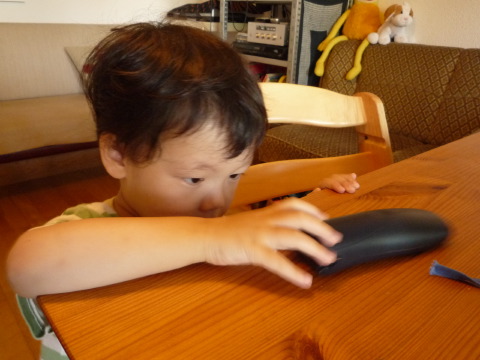 [P1080153.JPG]