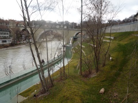 [P1110684.JPG]