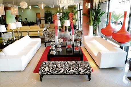 Ayuda Fiesta Animal Print Zebra - Fucsia ¡! - FIESTAIDEAS.com