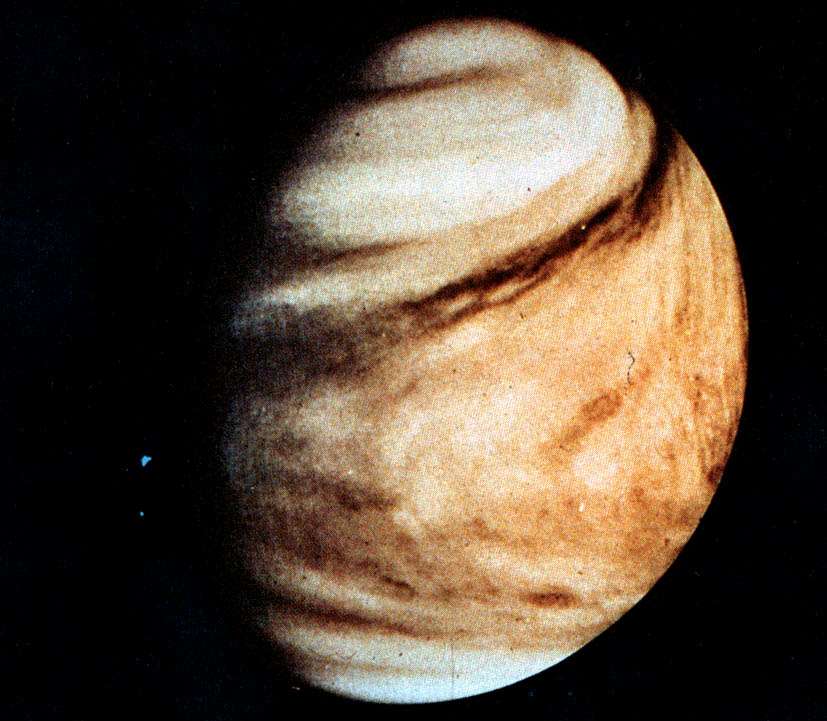 VENUS PHOTO PICTURE