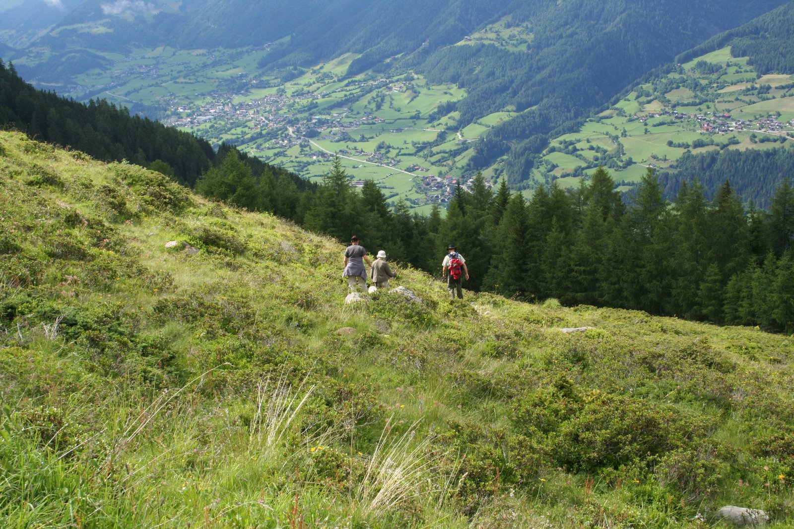 [IMG_9890.JPG]