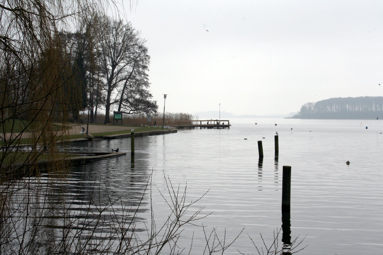 [IMG_1482.JPG]