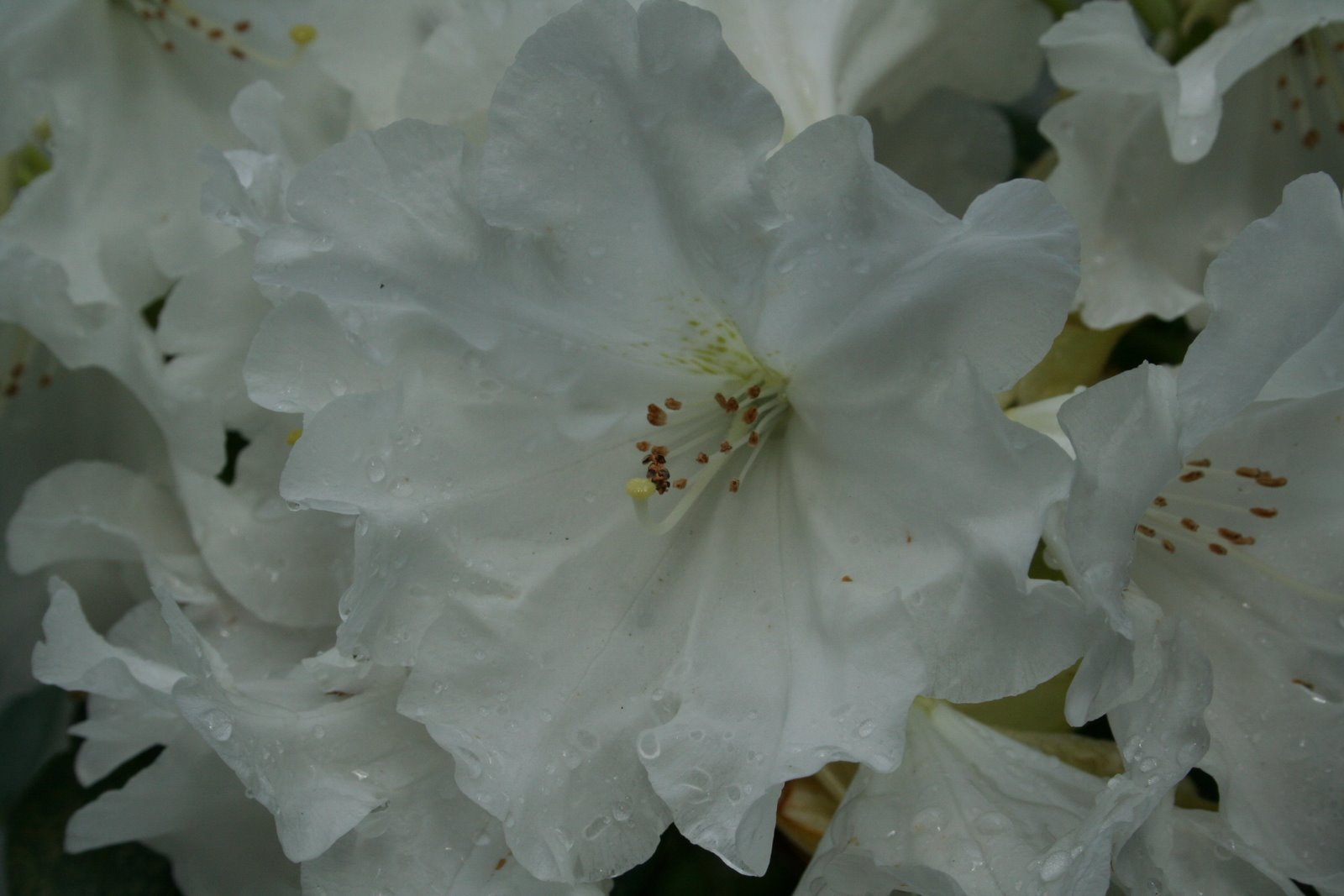[IMG_2273.JPG]