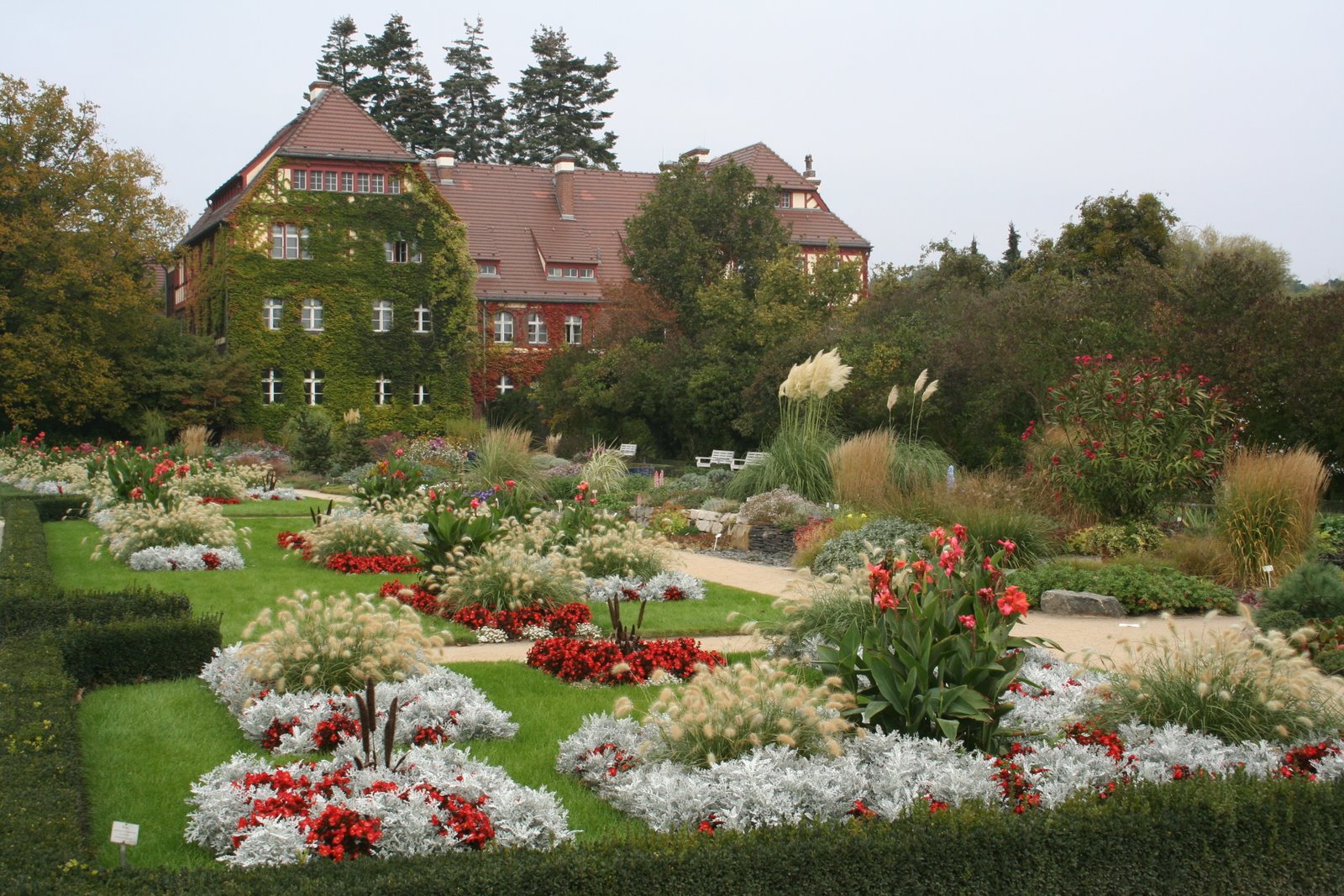 [IMG_3833.JPG]