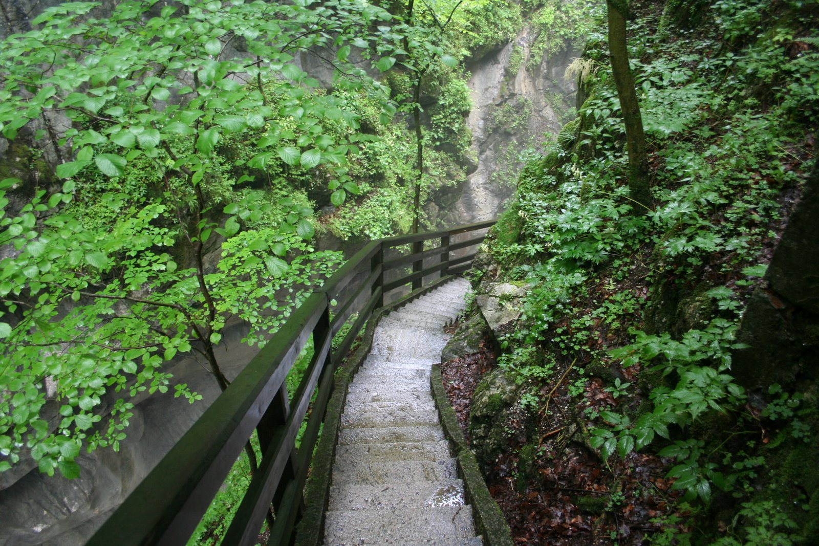 [IMG_2540.JPG]