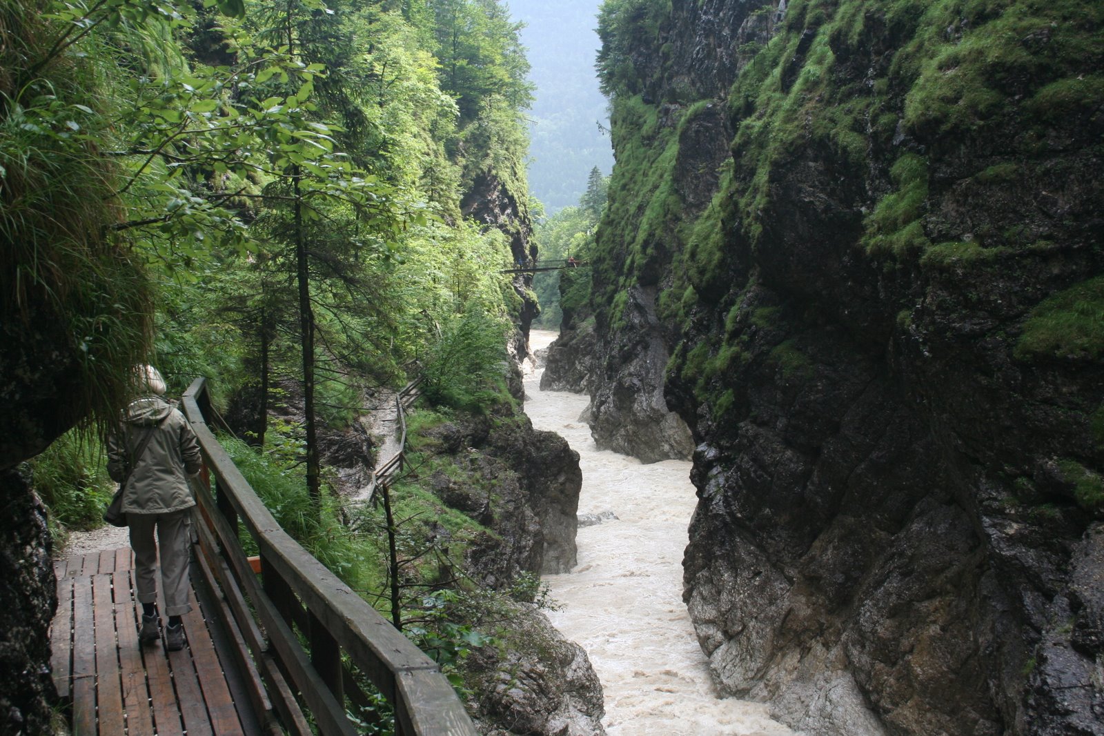 [IMG_2558.JPG]