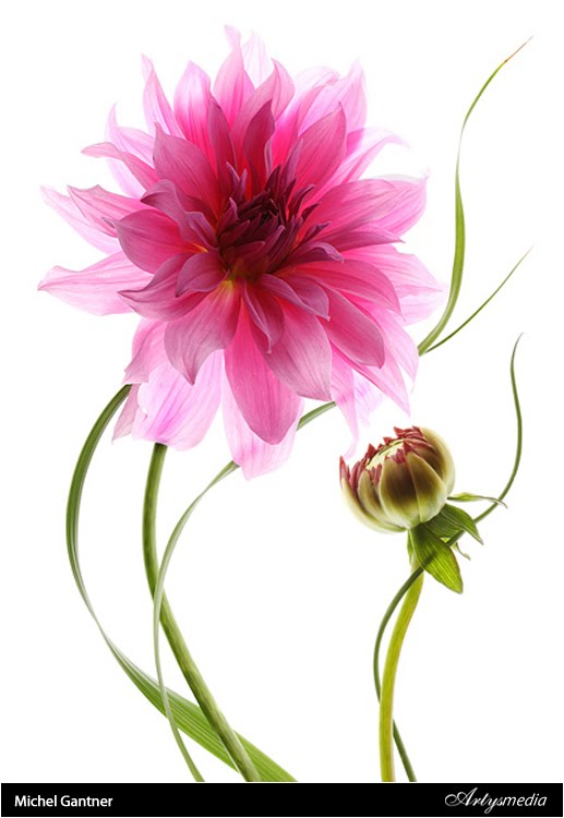 Michel Gantner