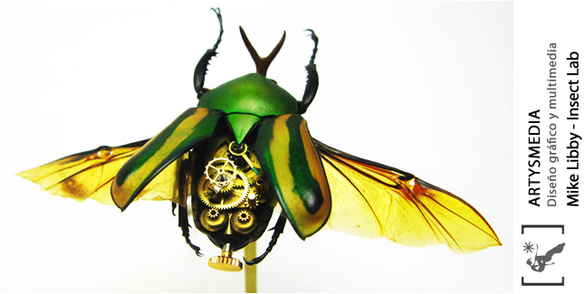 Mike Libby - Insect Lab