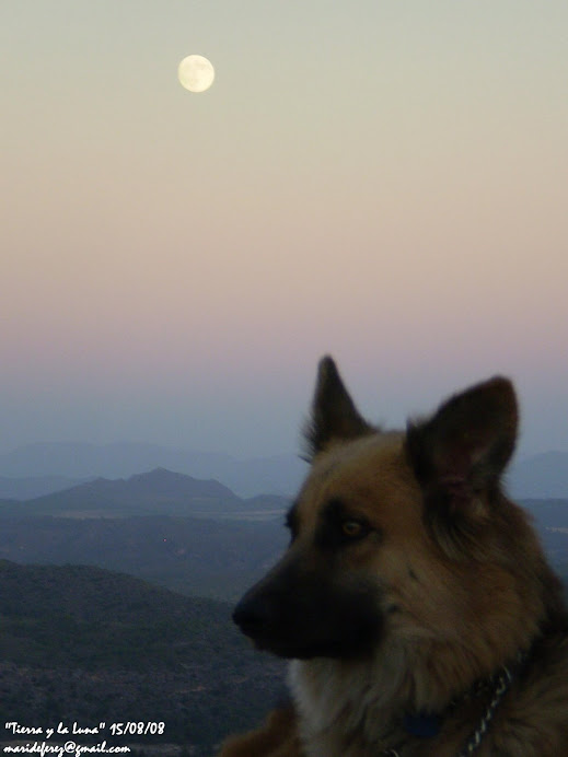 Quiero compartir esta luna con vosotr@s... sin palabras