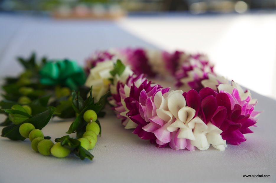 [hawaii-beach-wedding3.jpg]