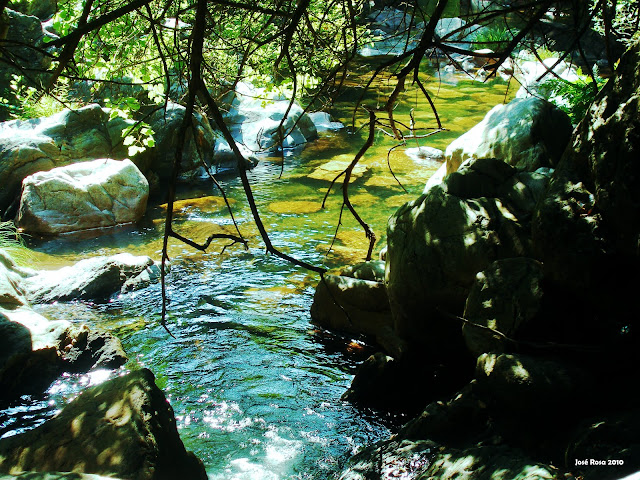 Ribeira de Alge, Afluente do Zêzere