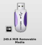 Flashka detekovaná v Kubuntu 10.04. Ne, není to ta bootovací :)