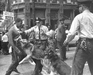 http://www.crmvet.org/crmpics/bham-dog1b.jpg
