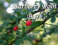 Barberry Root Bark