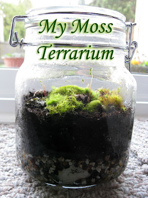 build your own moss terrarium behind mytutorlist com build your own moss terrarium behind mytutorlist com