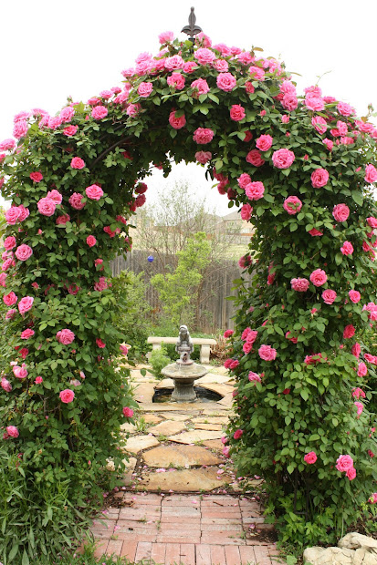 love cottage garden arbor bliss