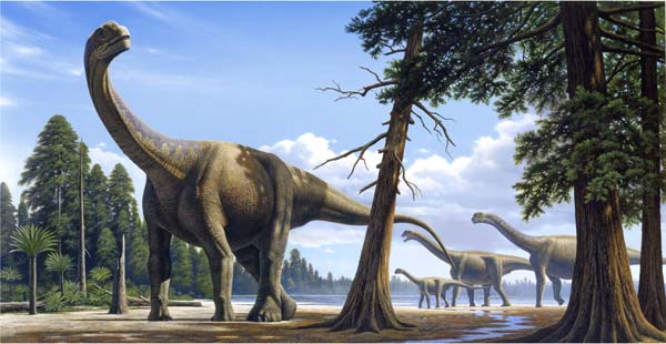 paleontologia paleontologia