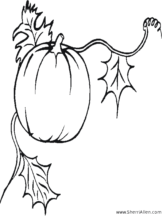 Fall Coloring Page Fall Coloring Page