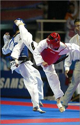 VIDEO TAE KWON DO video tae kwon do: