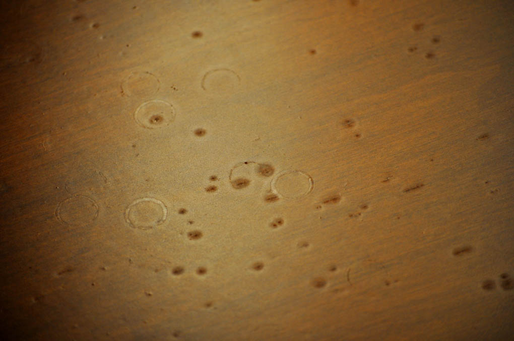 terryography FishEye