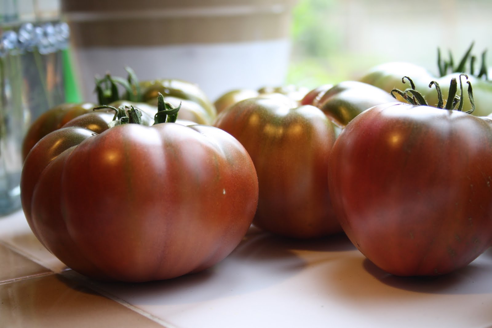 [Tomatoes+036.JPG]