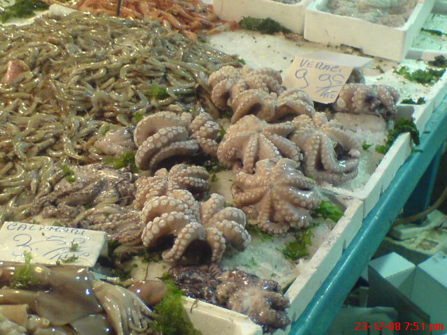 [DSC00929.JPG]