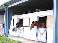 Horses in barn.
