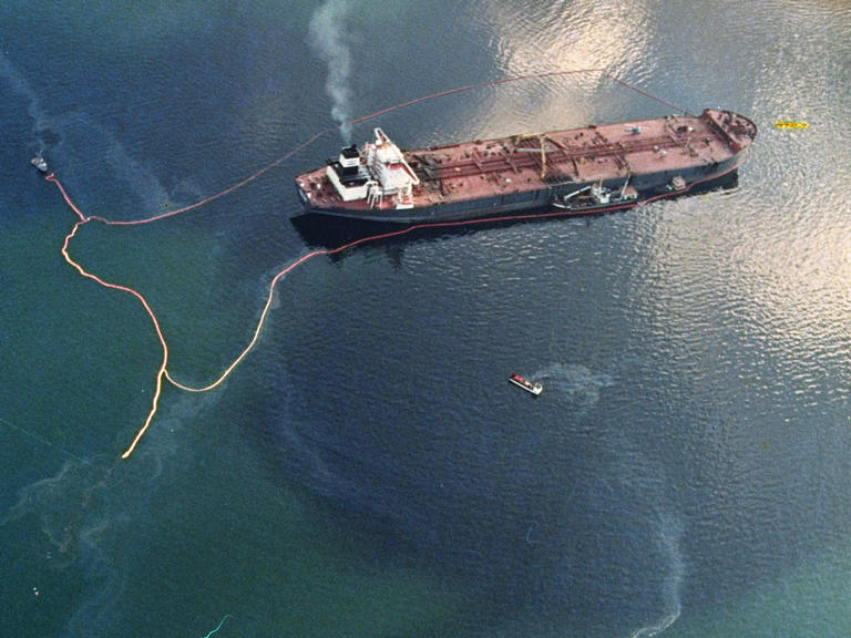 prince williams sound alaska prince william sound alaska earthquake. prince williams sound alaska