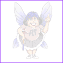 The Fly Lady
