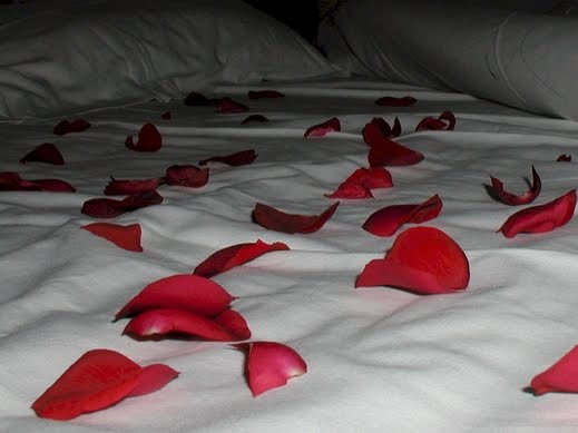 صباحية طبيعيه مجنوووووونه...... bed1.jpg
