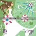 LIKES & DISLIKES OF VIRGO