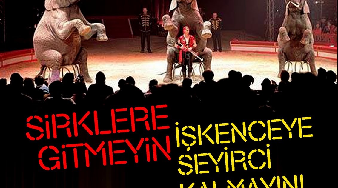 Yeryüzüne Özgürlük! Eylem Sirkler Hayvanlar İçin Eğlence Değil
