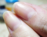 http://4.bp.blogspot.com/_0Vlq7YMHMYM/THCqO9MjLZI/AAAAAAAAAPM/fuzUHLJNbuA/s1600/Kuku.jpg