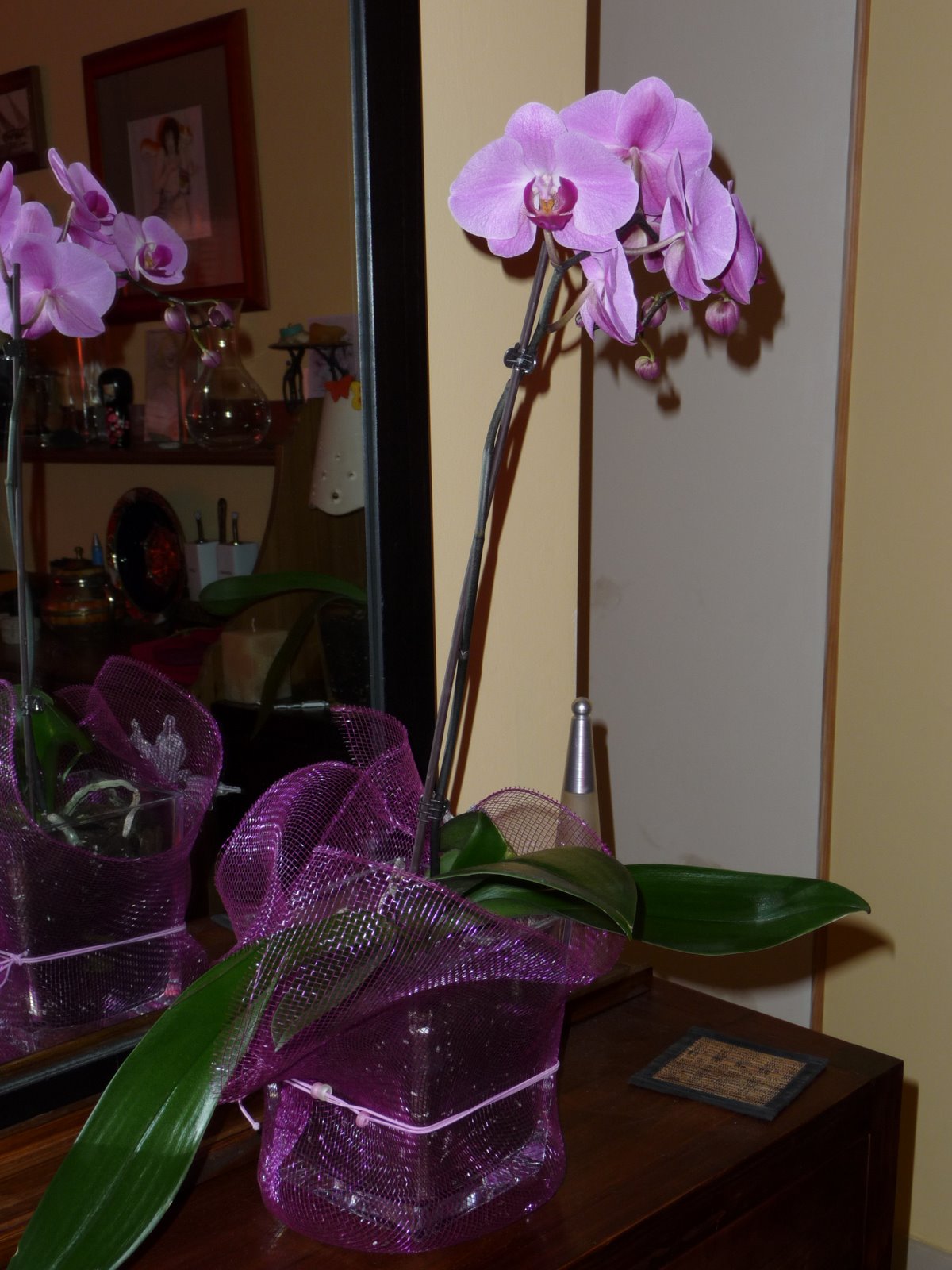 [P1000187.JPG]