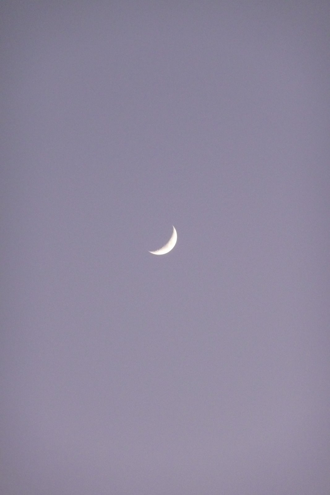 [P1010599.JPG]
