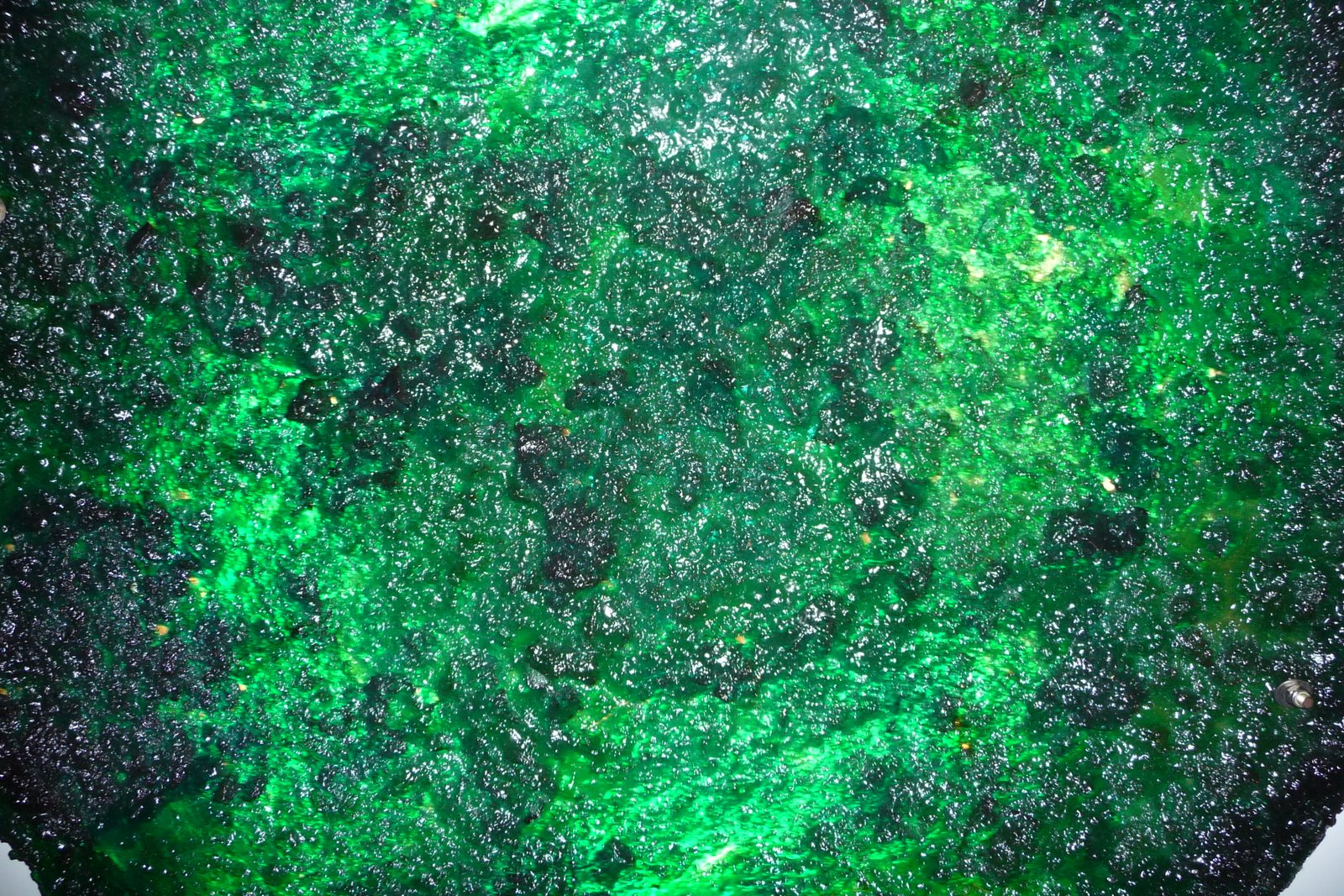 [P1010847.JPG]