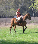 Sacar lo mejor del caballo