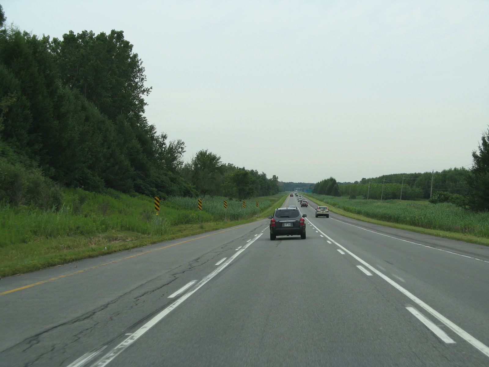 [IMG_7344.JPG]