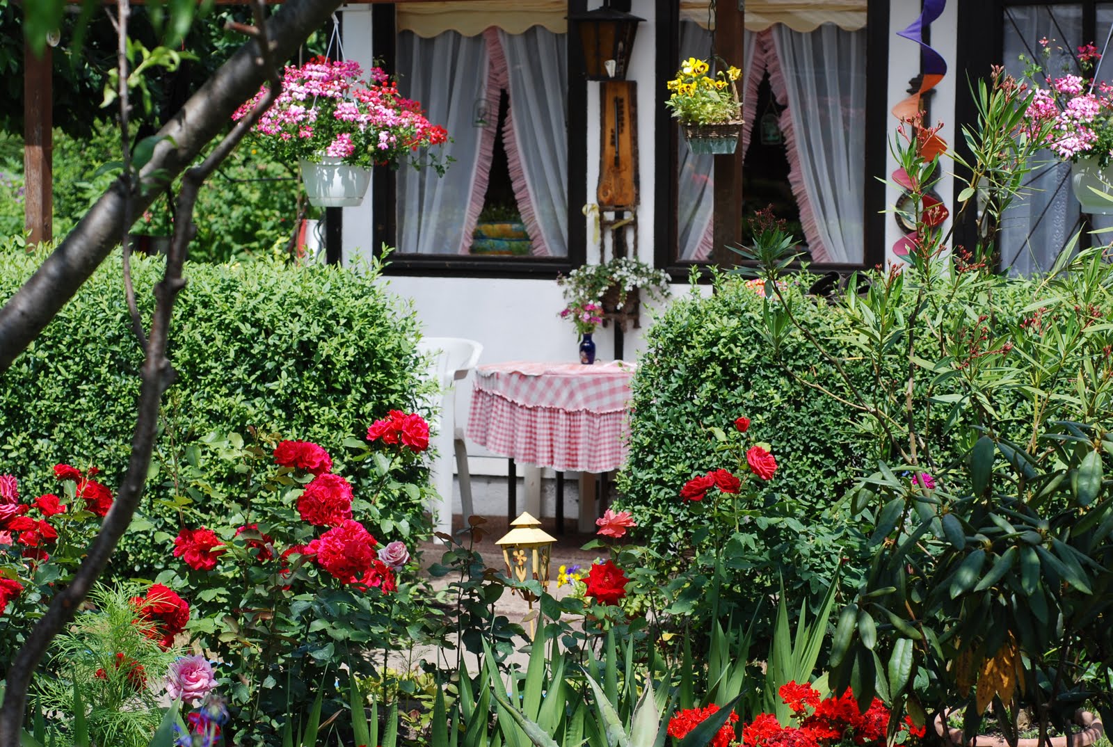 Lifestyle Garden Lessons of European Allotment Gardens