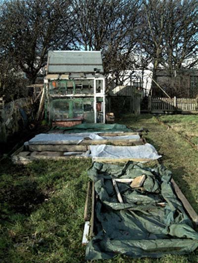 [Plot11allotmentmar07.jpg]