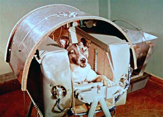 dogs in space the chronicles laika living being in space dogs in space dogs in space the chronicles laika living being in space dogs in space