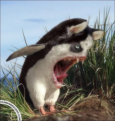 1000 Macam Foto Aneh Tapi Nyata Hewan Hewan Aneh Dan Misterius Di Dunia