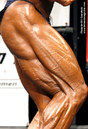 [Hamstrings_Glutes_Quads_Com.gif]