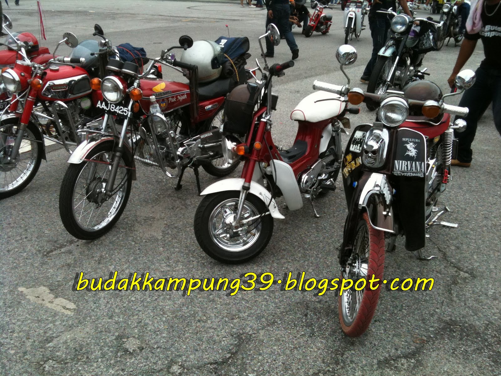 Wiring Diagram Honda Gbo