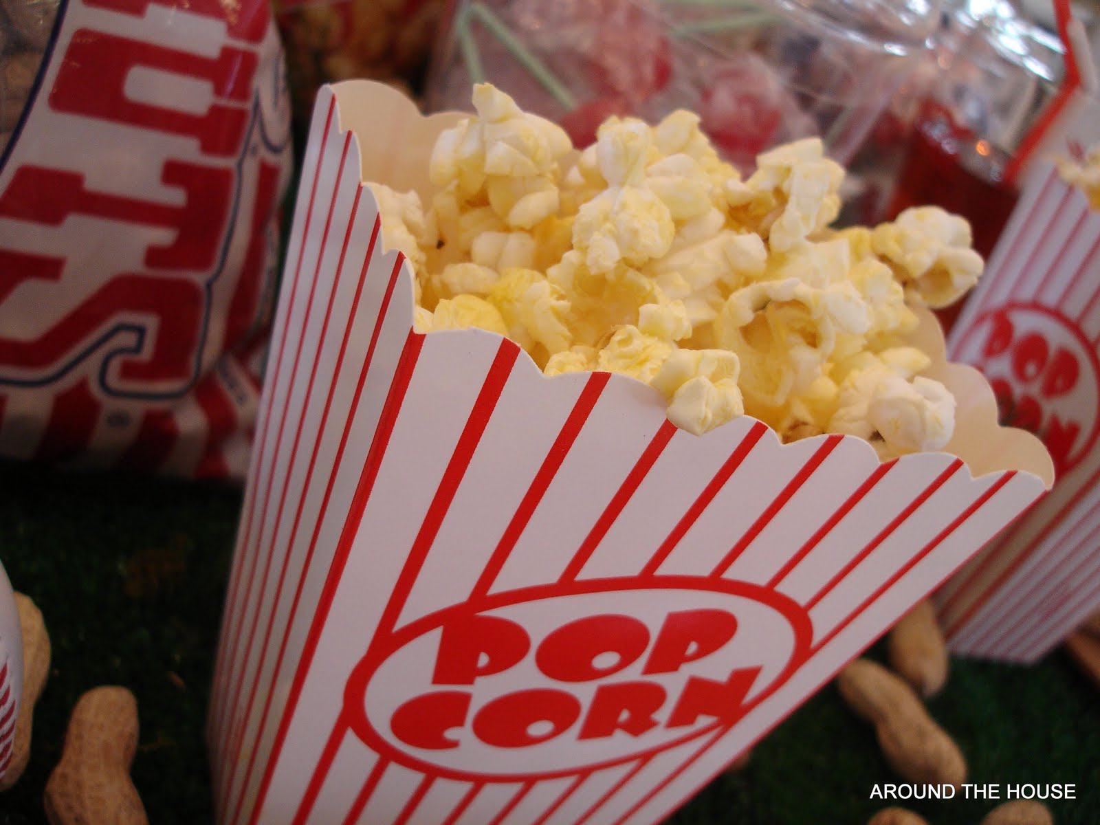 Around the House TAKE ME OUT TO THE BALLGAME