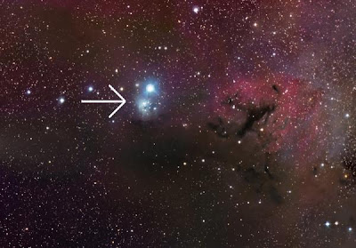 Astronomers Discover Youngest and Lowest Mass Dwarfs In Solar Neighborhood