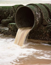 PURIFICAÇÃO DA ÁGUA