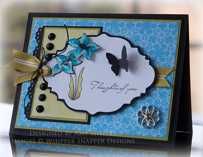 [blossomsandbutterflies3a_OCC022809.jpg]